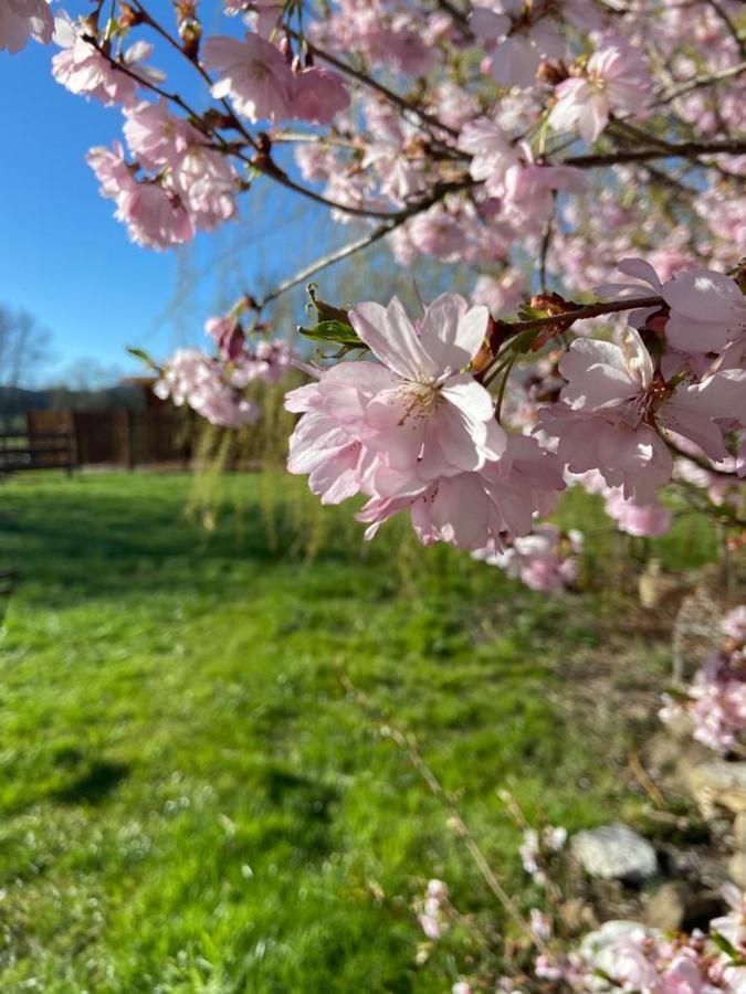 Hotel Weisse Muehle Breitenworbis Eksteriør billede